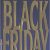 James Patterson – Black Friday Audiobook