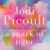 Jodi Picoult – A Spark of Light Audiobook