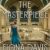 Fiona Davis – The Masterpiece Audiobook